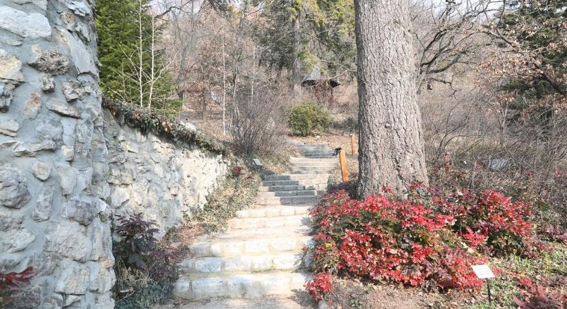 Itt a hónap első péntekje? Akkor irány a Pintér-kert