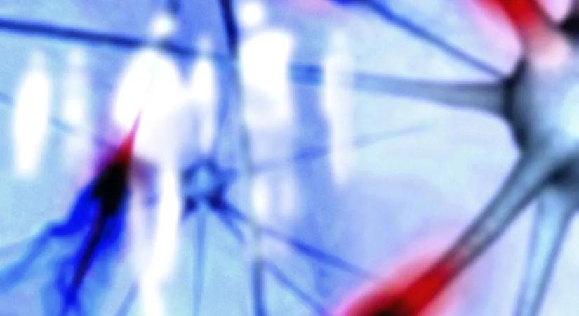 Hihetetlen, de egy ismert pirula csökkentheti az Alzheimer kockázatát