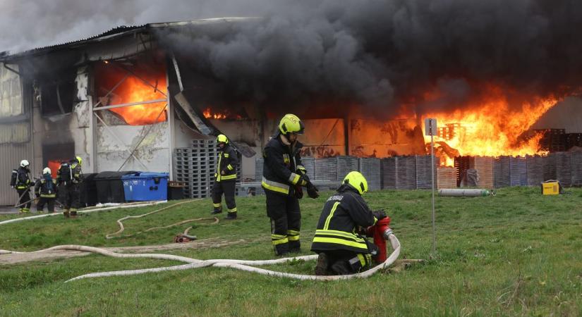 Porig égett a gesztenyefeldolgozó, a hamvaiból építették újra néhány hónap alatt