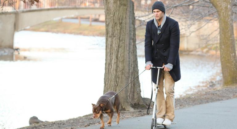Újabb lépés az örök élet felé: a futballsztár klónoztatta elhunyt kutyáját