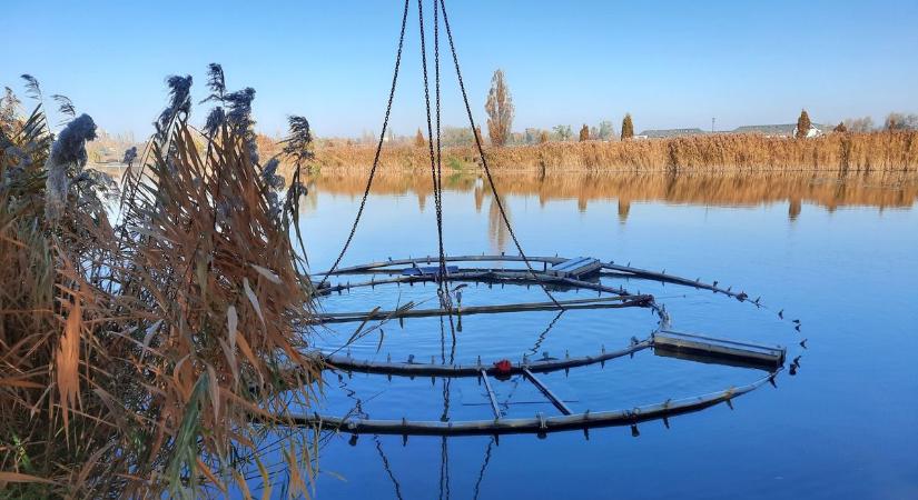 Szétszedték és elvitték a Bujtosi-tó szökőkútját (fotókkal)