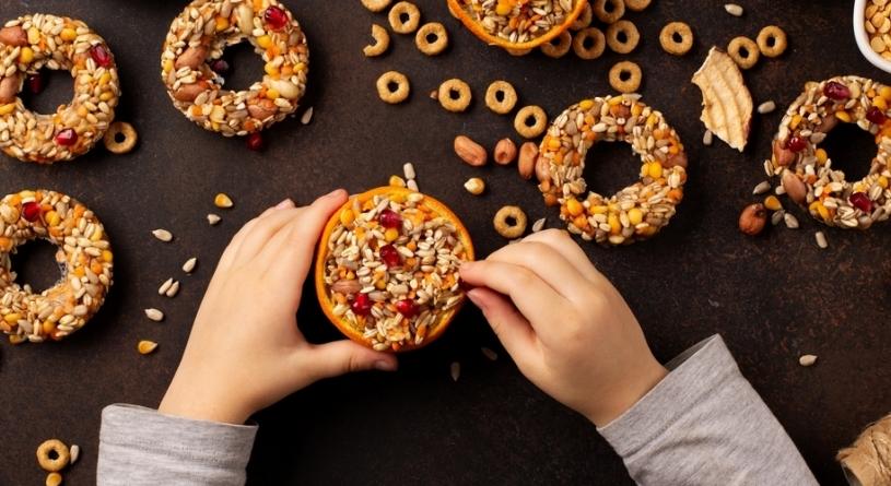 Madáretető készítése: egy szerethető projekt, amibe a gyerekekkel együtt is érdemes belevágni!