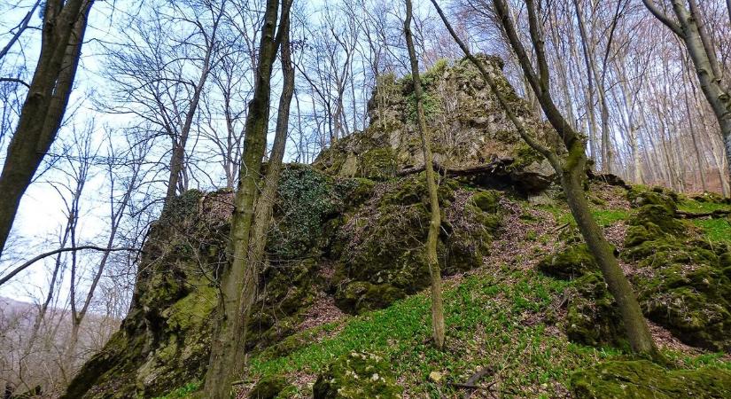 Köd, erdő, vér és arany: a Bakony titokzatos Rablólovag-vára ma is borzongató látvány