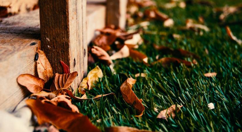 A 7 legfontosabb kerti munka novemberben