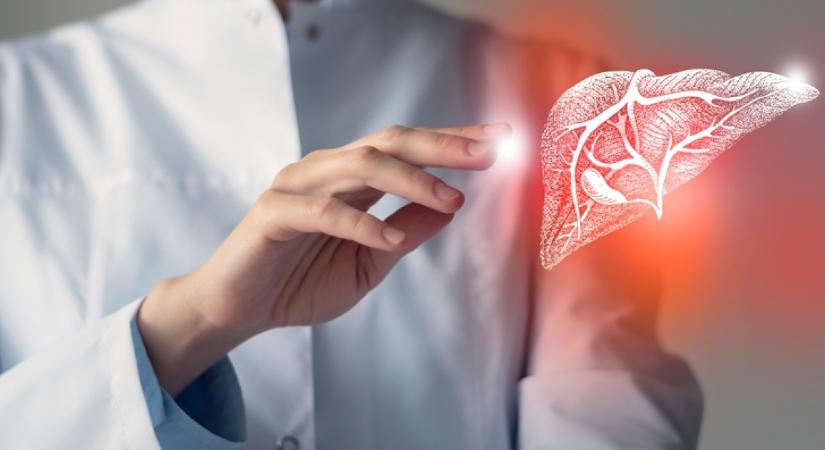 Nem a máriatövis az: ez a növény a máj titkos méregtelenítő csodaszere