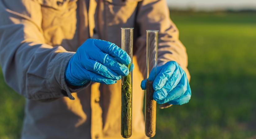 Kiderült, már nem csak az ivóvíz van tele itthon gyógyszermaradványokkal