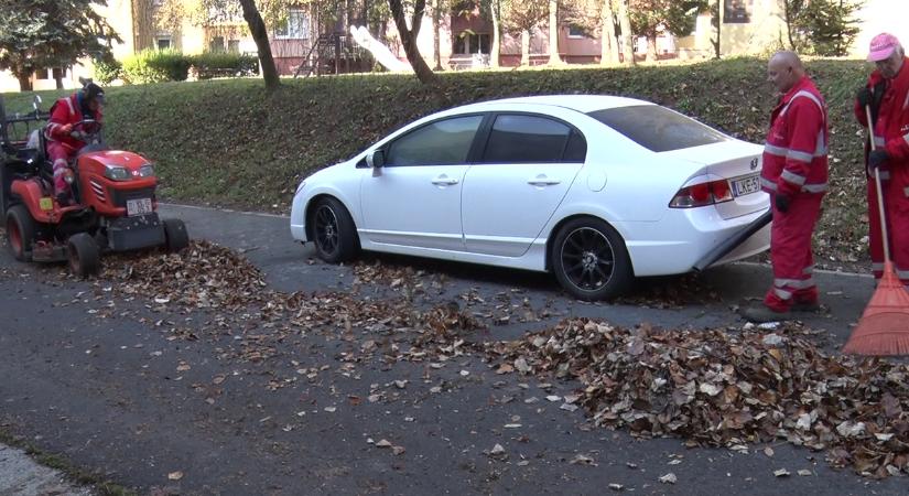 400 tonna lombot gyűjt és komposztál a Netta-Pannonia az őszi időszakban