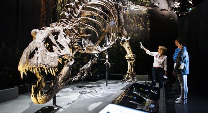 Milyen íze lehetett a dinoszauruszoknak?