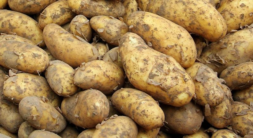 Óriásberuházás: olyat épít a MAIS, amilyen még nem volt Ukrajnában