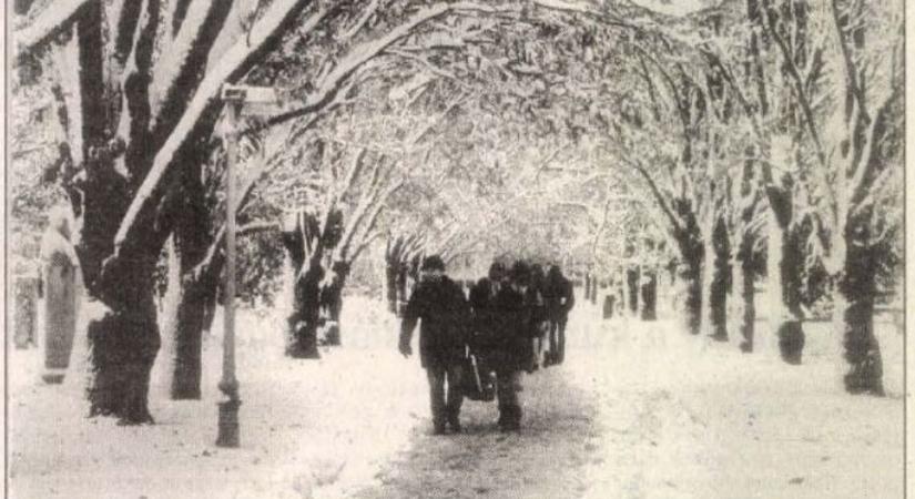 30 éve korán érkezett a tél, egész Bács-Kiskunt megbénította a '95-ös havazás – fotók