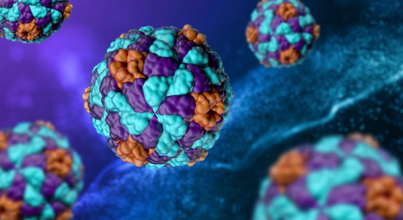 Brutális járvány terjed Magyarország szomszédjában