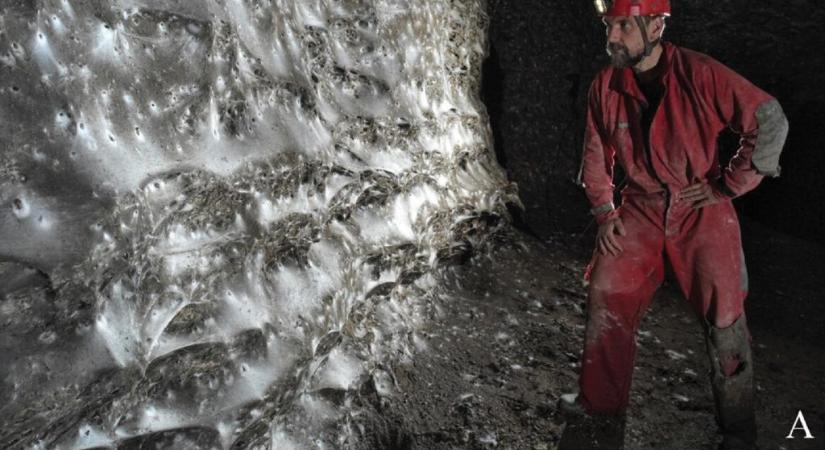 Magyar kutató vezetésével bukkantak a világ legnagyobb pókhálójára