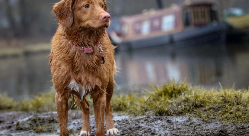 Mediterrán ciklon közeleg, jelentős fordulatot vesz időjárásunk
