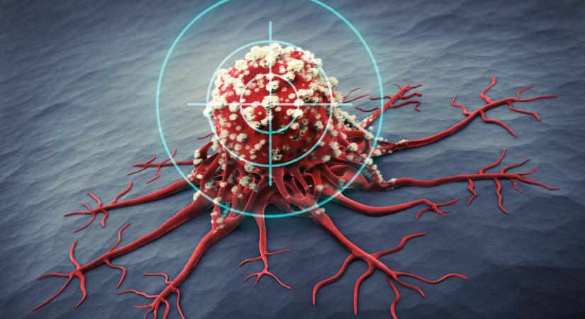 Magyar rákellenes csodagyógyszer? Egyetlen kezeléssel tüntette el a daganatot a kutatók új fejlesztése