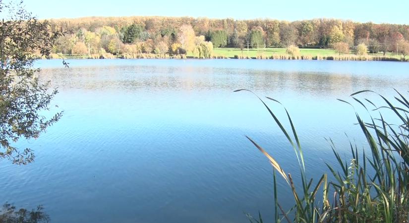 Mintegy 500 darab süllőt telepítettek