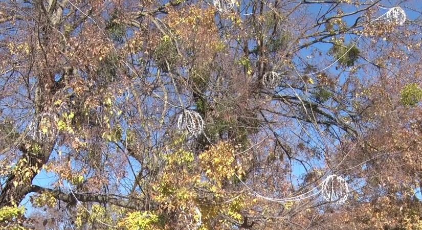 Készül a város a karácsonyra, már felszerelték a díszkivilágítás elemeit