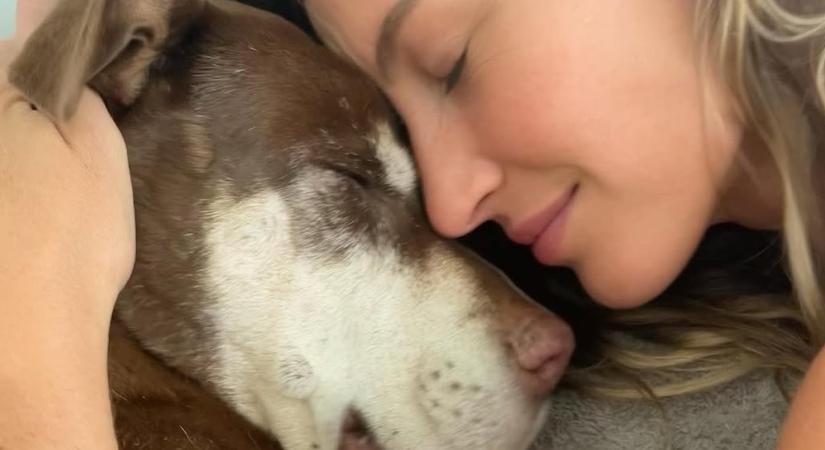 Klónbotrány: újabb sztárról derült ki, hogy a mostani kutyája egy korábbi kutyájának a klónja