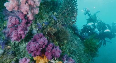 5 dokumentumfilm az idei Verzió Filmfesztiválon, melyek megnézése után másként tekintesz majd a világra