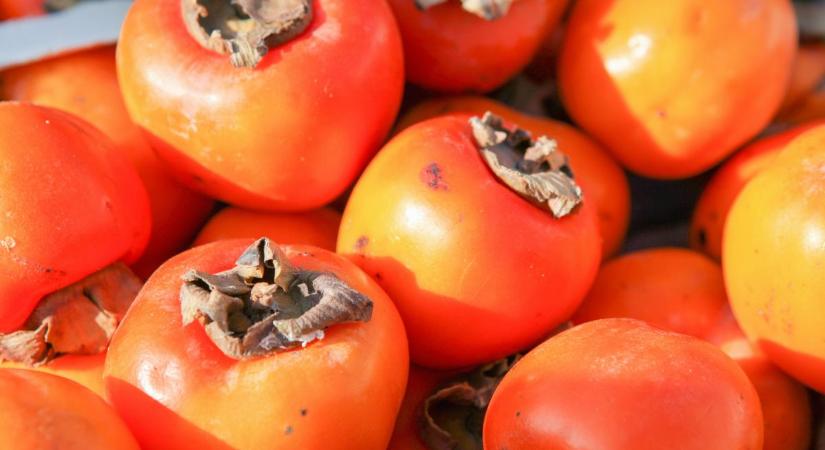 Foltok a datolyaszilván: Mikor ehető és mikor nem?