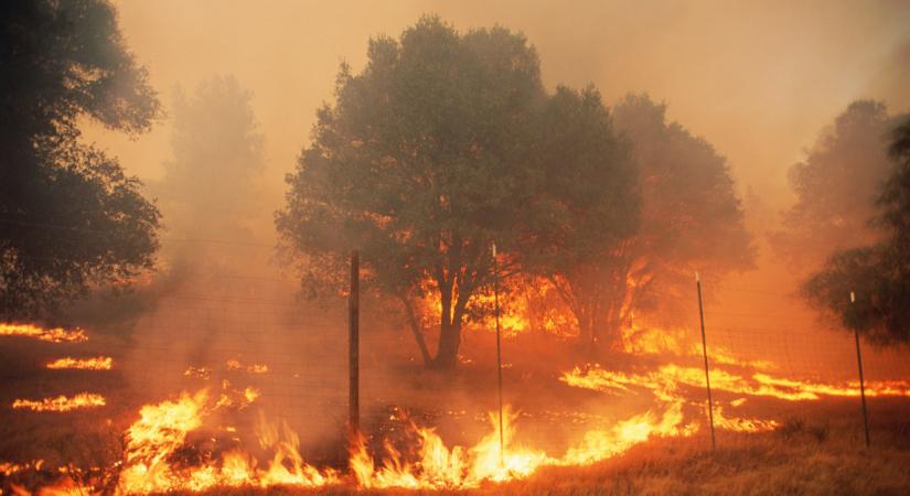 Riasztó jóslat érkezett az időjárásról: durva, ami 2050-től ránk várhat