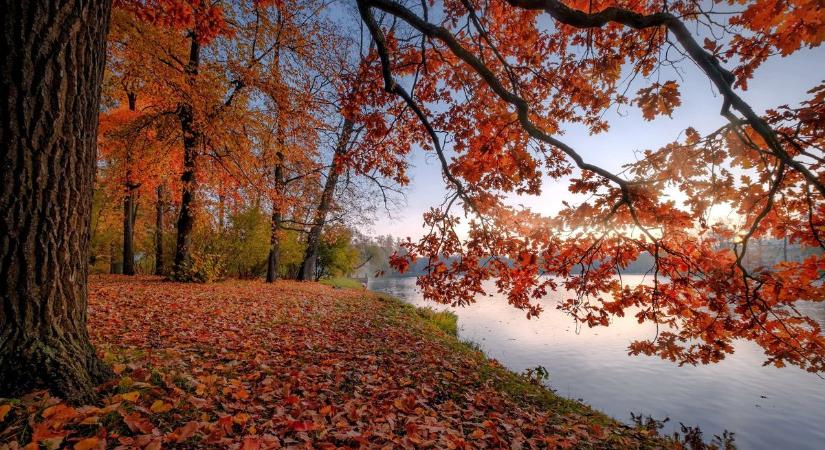 Kastély, tó és pince: ezek a legjobb helyszínek, ha kimozdulnál a hétvégén!