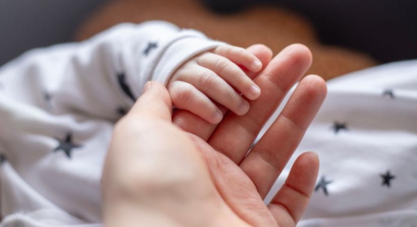 Kecskeméti anyakönyvi hírek