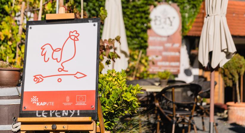 Siker és jövőkép – Nyitott Porta Napok 2025