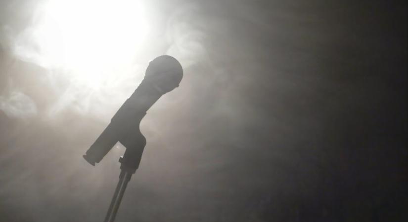 Lakatos Fleisz Katalin: Dívaság