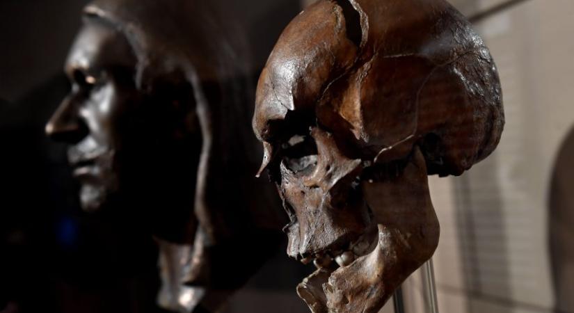 Brutálisan meggyilkolt Árpád-házi herceg maradványait azonosították