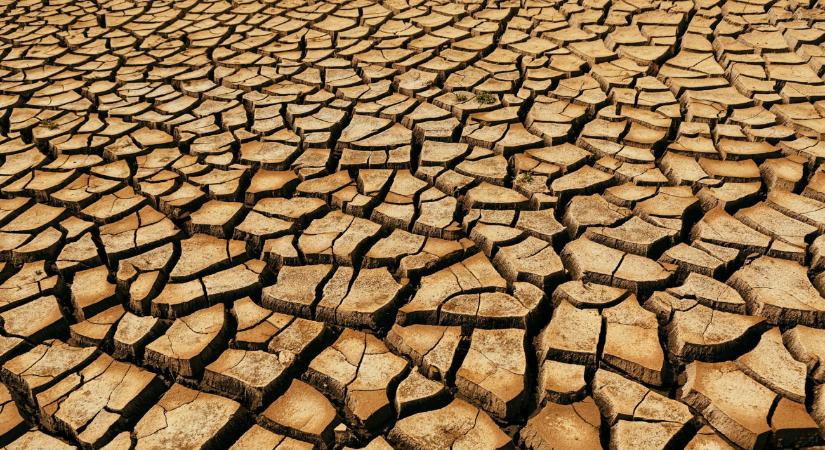 Óriási a baj, szemernyit sem segít "pár csepp eső" az Alföld állapotán