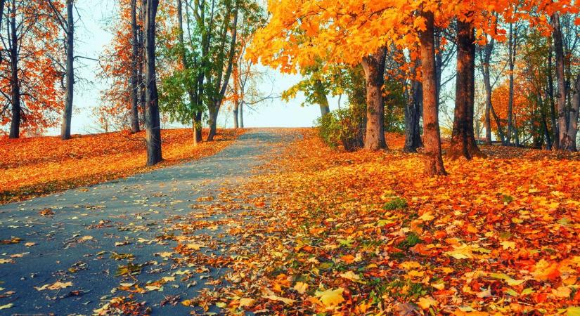 Kellemes, enyhe nap vár Szegedre – ilyen lesz holnap az időjárás