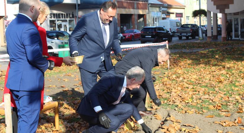 Ajándék tulipánhagymák a holland nagykövettől – még ültetni is segített!