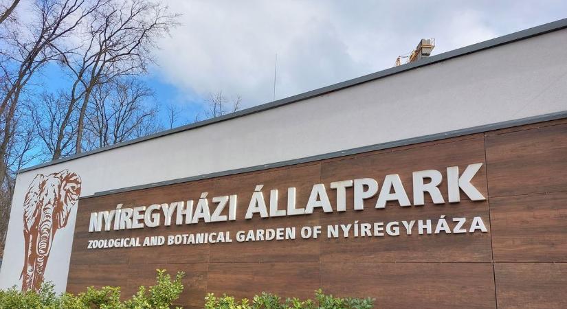 Megható, ahogy az elhagyott kis állattal bánnak a Nyíregyházi Állatparkban. Most mindenki beleshet a kulisszák mögé! (videó)