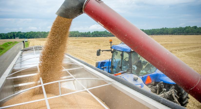 Itt az igazság: ezek a növények húzhatják ki a magyar gazdákat a bajból