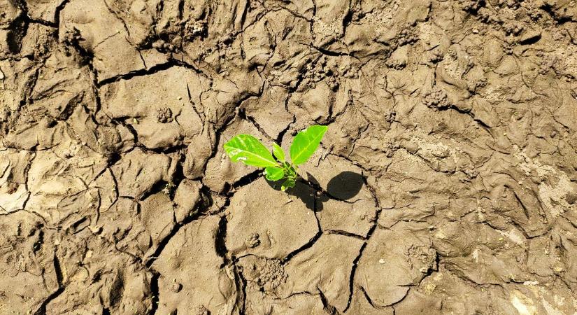 Klímaválság: riadót fújtak a szakértők, elfogyott a lendület a környezetvédelemben – ez a globális gazdaságnak is fájni fog