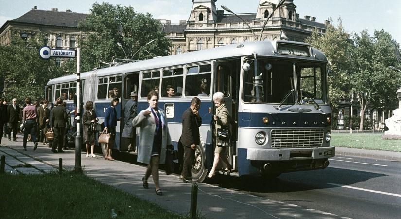 Csuklós ikonok: a magyar buszgyártás mérföldkövei