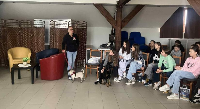 A vadállatok a természetbe valók, nem a nappalinkba