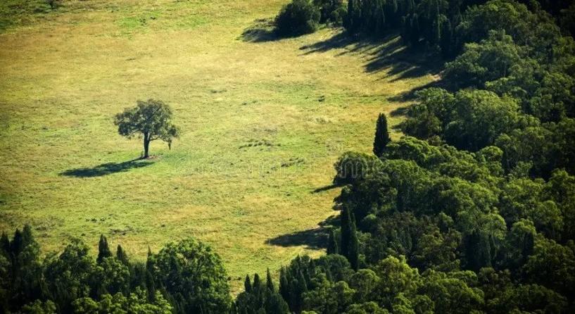 Indul a Monad főhálózata: nagy várakozás és airdrop lehetőség