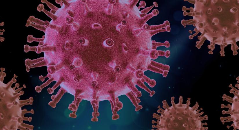 Jó hír érkezett a koronavírusról