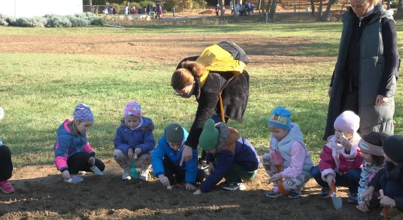 Földbe tették a nárcisz hagymát a gyerekek