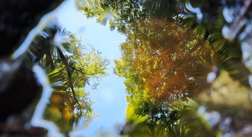 Meglepően enyhe napra virrad Borsod!