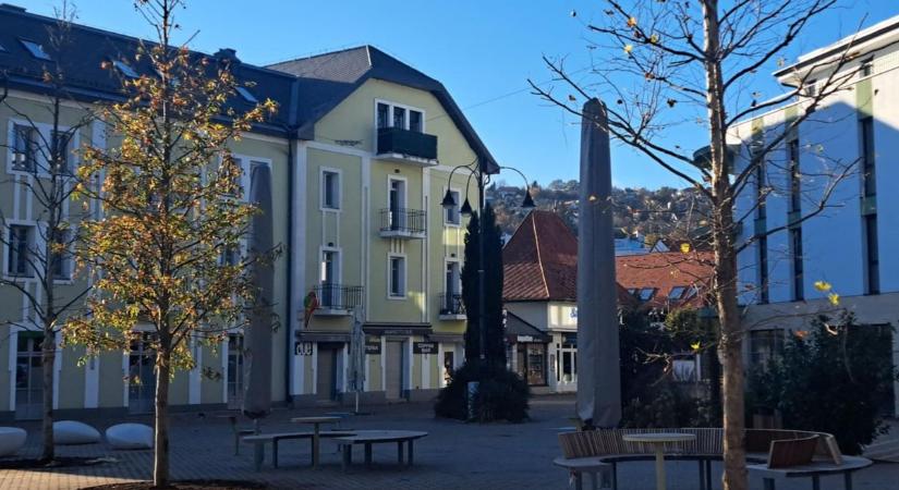 Balatonalmádiban nem várnak az árnyékra: koros fákkal hűti a belvárost (videó)