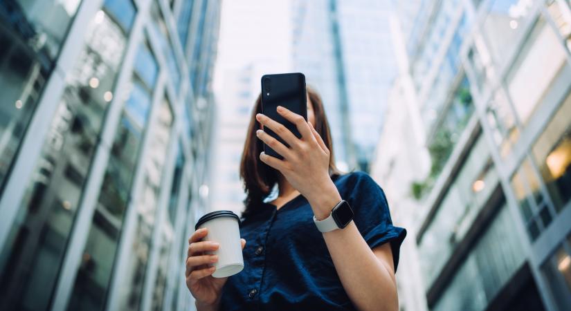 Figyelem! Napokra elérhetetlenné válnak a digitális állami alkalmazások