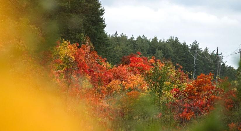 Ragyogóan napos péntek vár Pécsen – ki fogjuk használni a kora őszi fényeket?