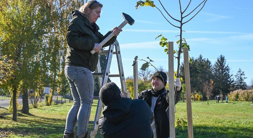 Együtt a zöldebb Vas vármegyéért - Harmadjára ültetett fákat a kormányhivatal