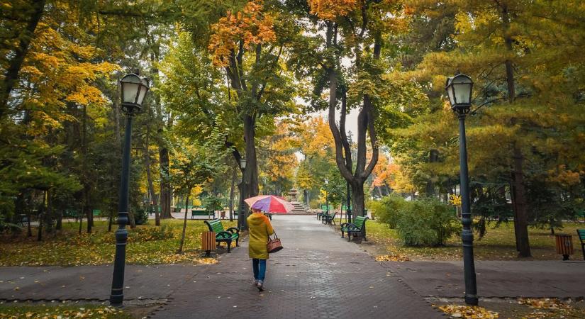 Kétségbeejtő fordulat az Alföldön: már az őszi vetések is szomjan halnak!