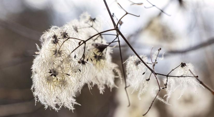 Jégkaparó bekészítve? - Így alakul az időjárás holnap Hajdú-Biharban