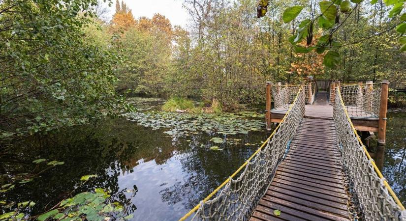 Merülj el a Fényes tanösvény forrásvilágában!