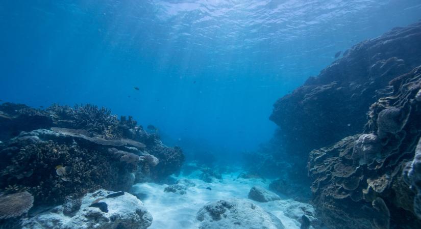 Nagyon rossz hír érkezett a klímaválságról