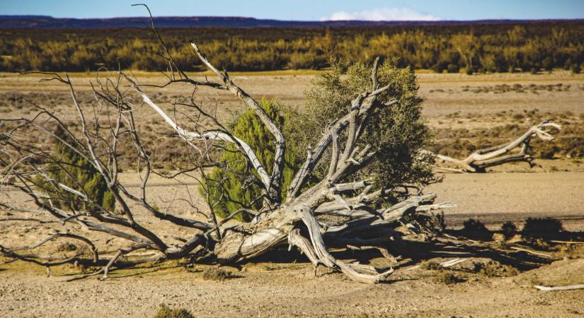 "Új rohamra" hívják a világ országait a COP30 előtt